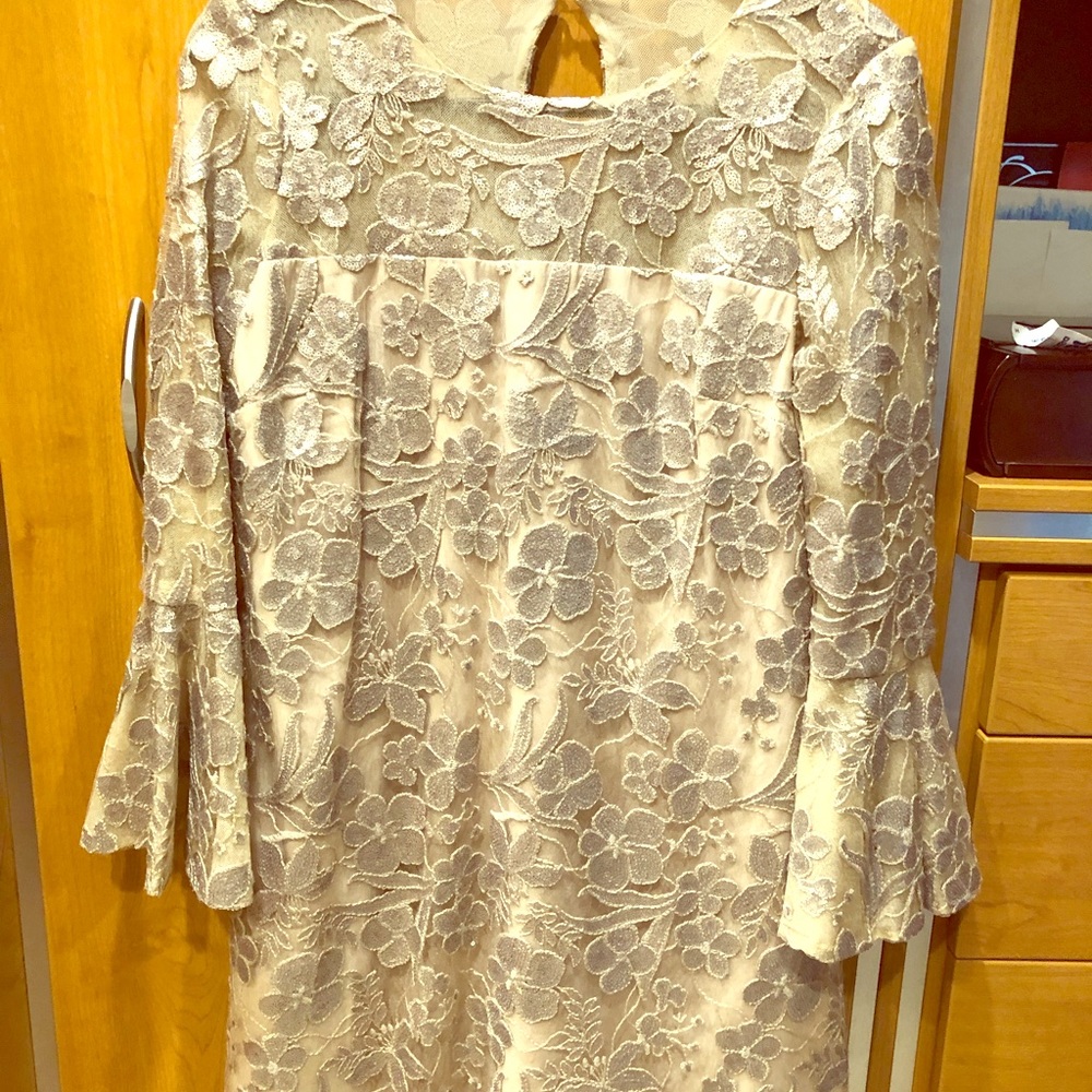 Special event dress size 6 worn once nude/silver